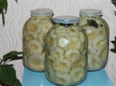 Маринованные грузди: только лучшие рецепты Маринованные грибы грузди рецепт