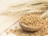 Пшеничная крупа, полтавка или полтавская крупа Крупа пшеничная дробленая