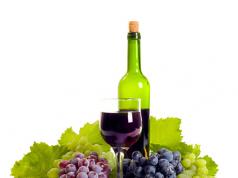 Технология изготовления вина в домашних условиях