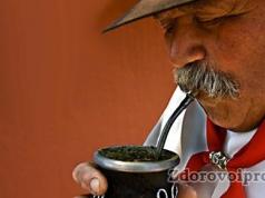 Все о мате — польза парагвайского чая, как его пить и чем отличается он от чая зеленого