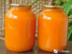 Pumpkin juice at home for the winter - recipes, beneficial properties and cooking secrets
