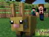 What do rabbits eat in Minecraft?